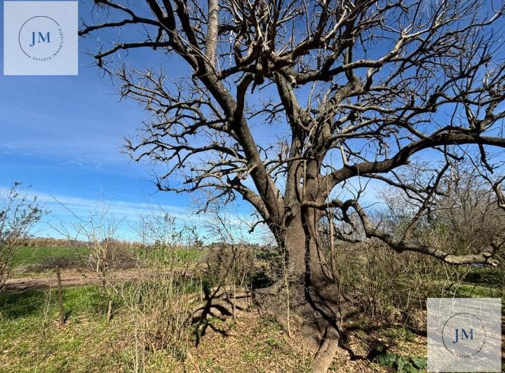 Inversión y Naturaleza en Carmen de Areco. - 4