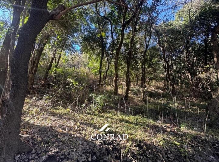 Lotes en Venta con Escritura a 150 m. de Av San Martín en Ñu Porá - Río Ceballos - 4