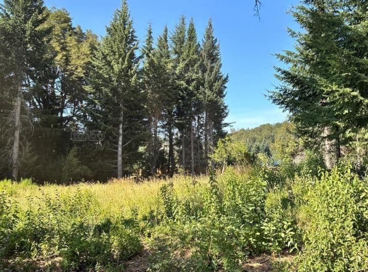 Terreno Lote en Venta en Villa Campanario, Bariloche, Patagonia - 4