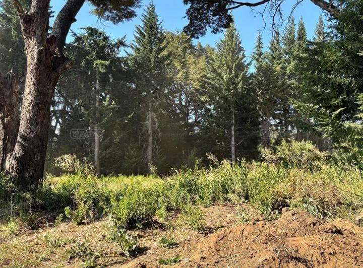 Terreno Lote en Venta en Villa Campanario, Bariloche, Patagonia - 2