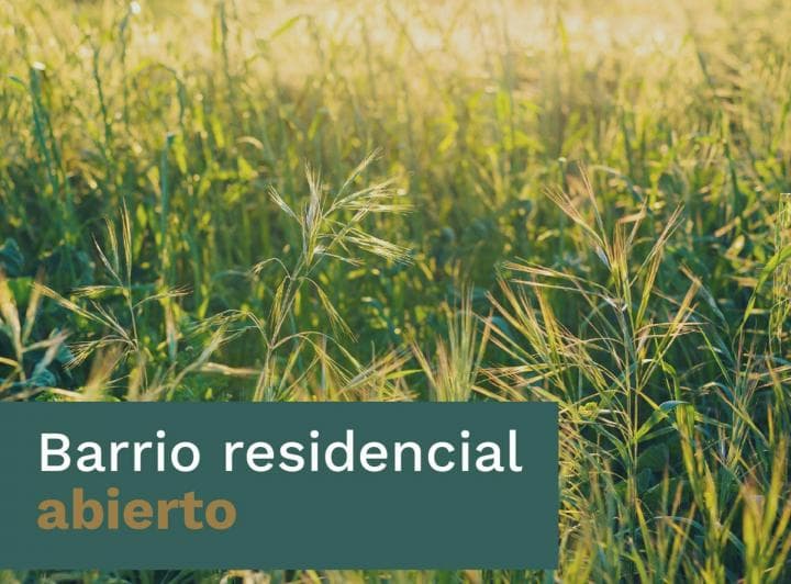 Vende - Lote 458 en Nihuil - 3