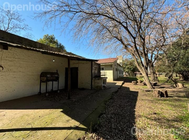 Venta Chacra de 13 Has con Casco y Galpon en Carmen de Areco. - 3