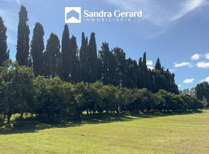Venta - San Pedro - Casaquinta en Los Azahares | 7.214 m², Pileta y Amplio Parque - 4