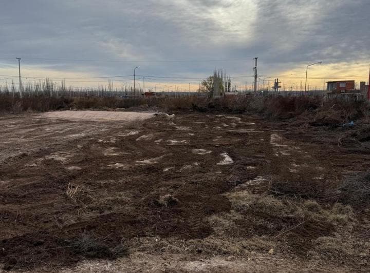 Lote en Venta – Loteo Don Federico – Allen, Río Negro - 3