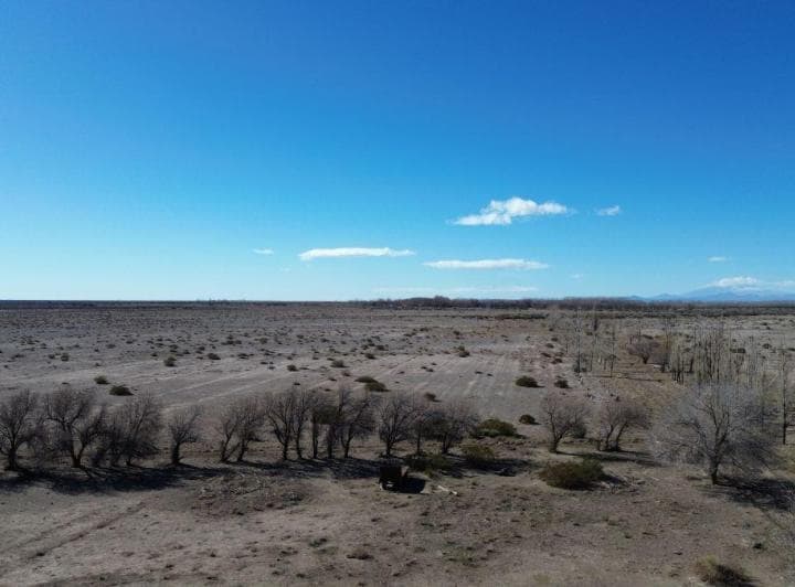 Campo en Venta de 1305ha Ubicado en Malargue - 4