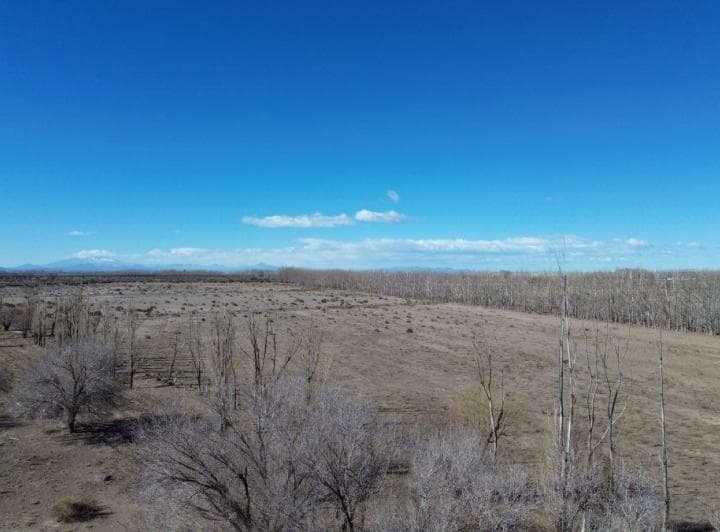 Campo en Venta de 1305ha Ubicado en Malargue - 2