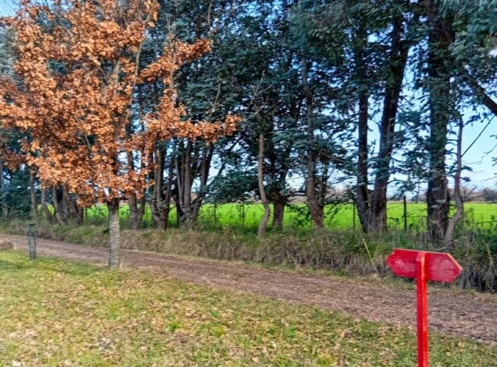 Venta Lote Laguna de Las Pampas San Andres Degiles - 5