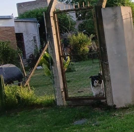 Lote 360 m² en Venta - Luján - 5