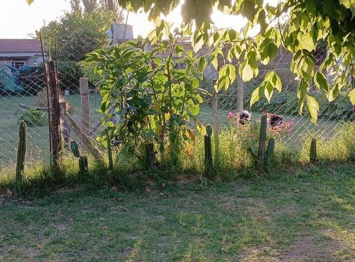 Lote 360 m² en Venta - Luján - 4