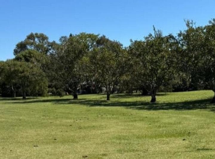 Lote en Venta Pehuajo - 5