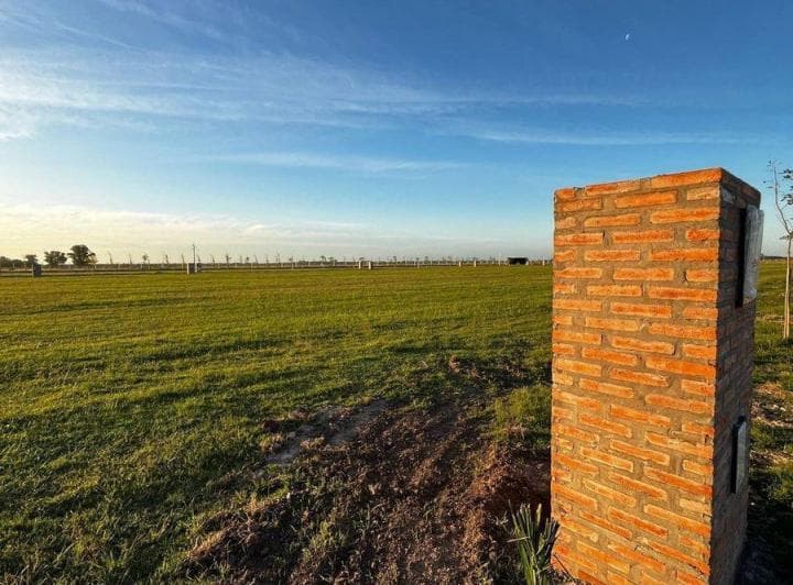 Lote en Venta en Haras Andrea Virginia, Plomer - 3