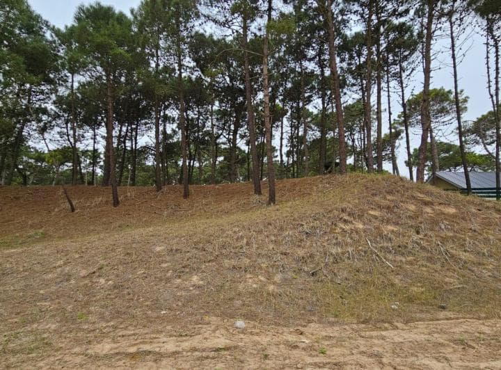 Terreno en Venta - - 887 m - Pinamar - 4
