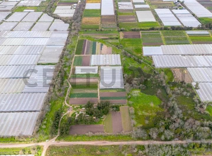 Venta de 5 Hectares Agricolas - 3