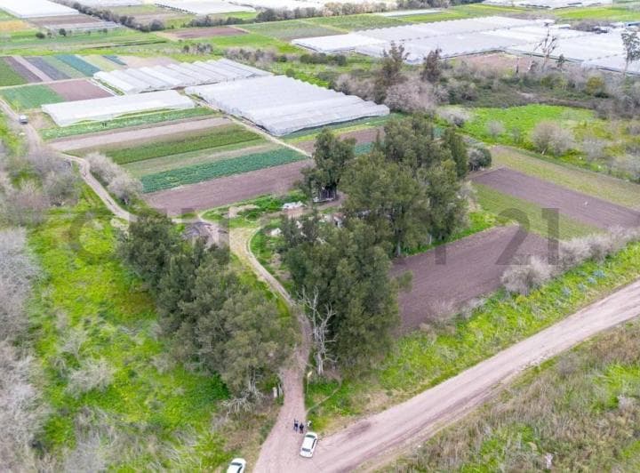 Venta de 5 Hectares Agricolas - 4