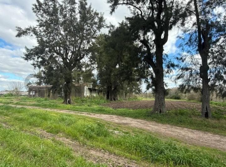 Venta de 5 Hectares Agricolas - 2