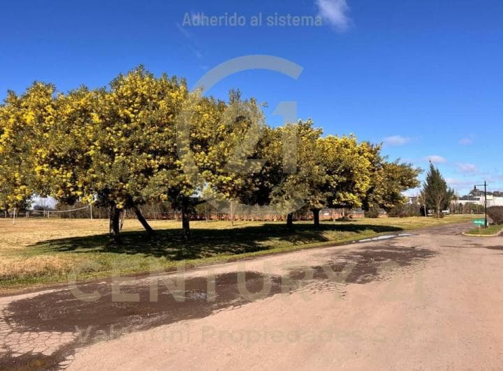Lote en Venta con Fondo a La Laguna - Club de Campo Santa Rita - 2