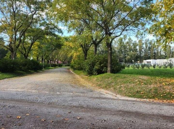 Lote en Venta en El Tropezón San Antonio de Areco - 4