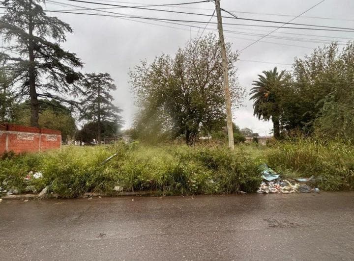 Venta Lote Para Desarrollo en Zona Norte - 3