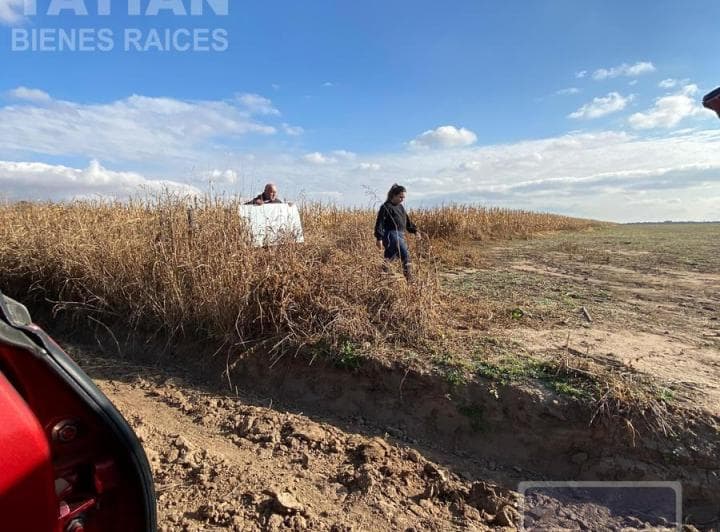 Campo de 50 Hectáreas Ubicado en La Zona Rural de Costa Sacate, Córdoba. - 5