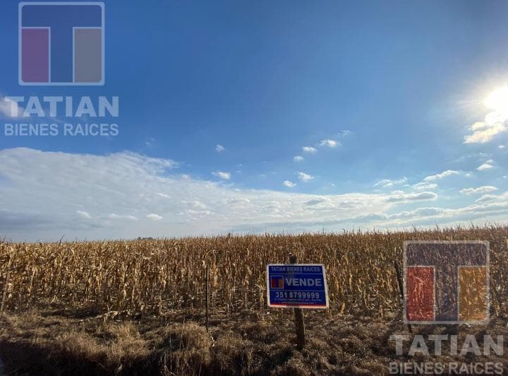 Campo de 50 Hectáreas Ubicado en La Zona Rural de Costa Sacate, Córdoba. - 4