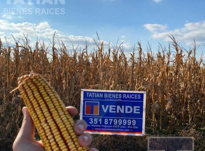 Campo de 50 Hectáreas Ubicado en La Zona Rural de Costa Sacate, Córdoba. - 2