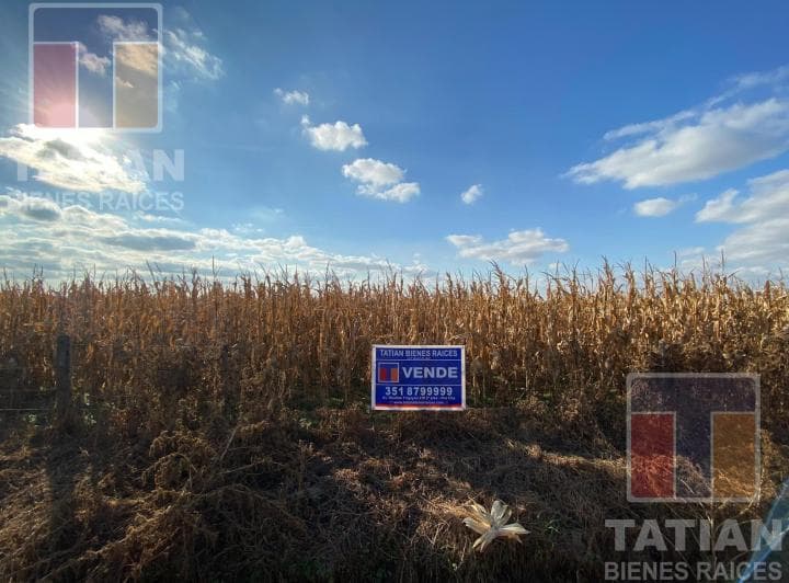Campo de 50 Hectáreas Ubicado en La Zona Rural de Costa Sacate, Córdoba. - 3