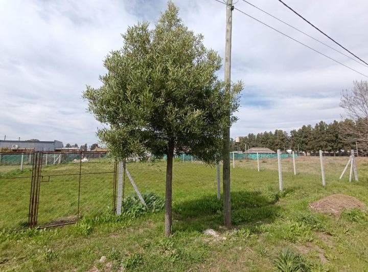 Venta Lote 642 m B° Fincas de La Florida Zarate - 3