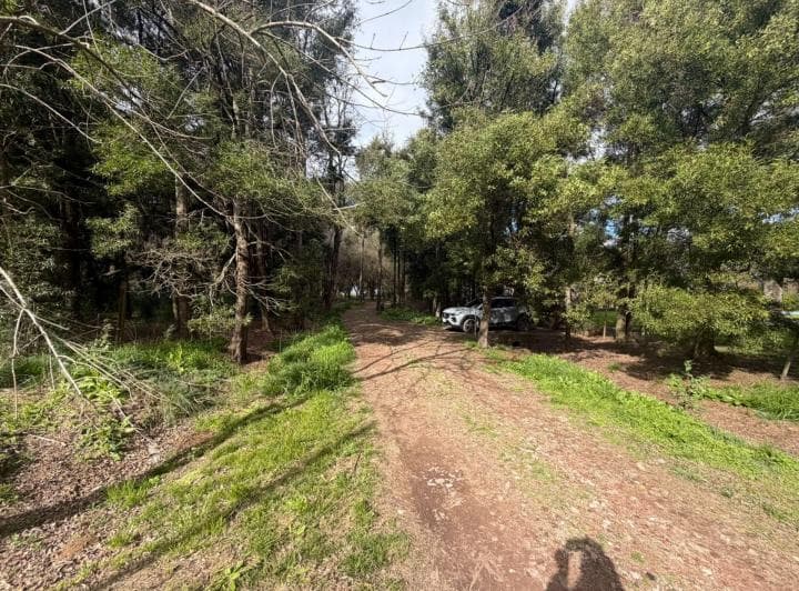 Venta de Lote en Lomas Altas Chascomus - 5