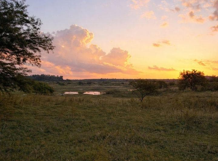 Lote 23, Estrella Federal, Ramallo. - 2