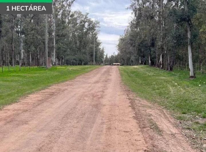 Lote de 1 Hectarea en Estancia Estrella Federal - 2