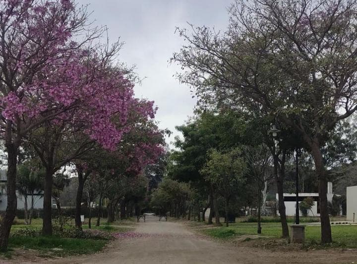 Terreno en Venta Country Chacras de Valle Nuevo - 5
