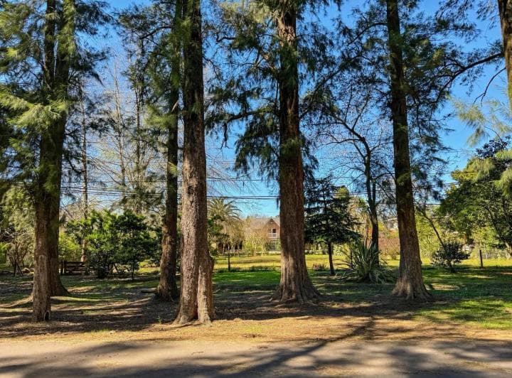 Terreno - San Diego C. C - 4