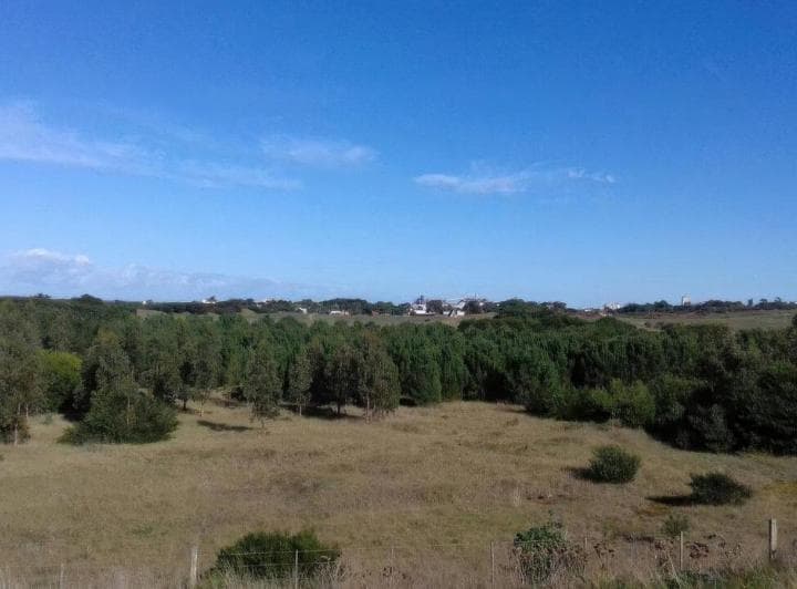 Terreno en Venta - m² - Necochea - 4