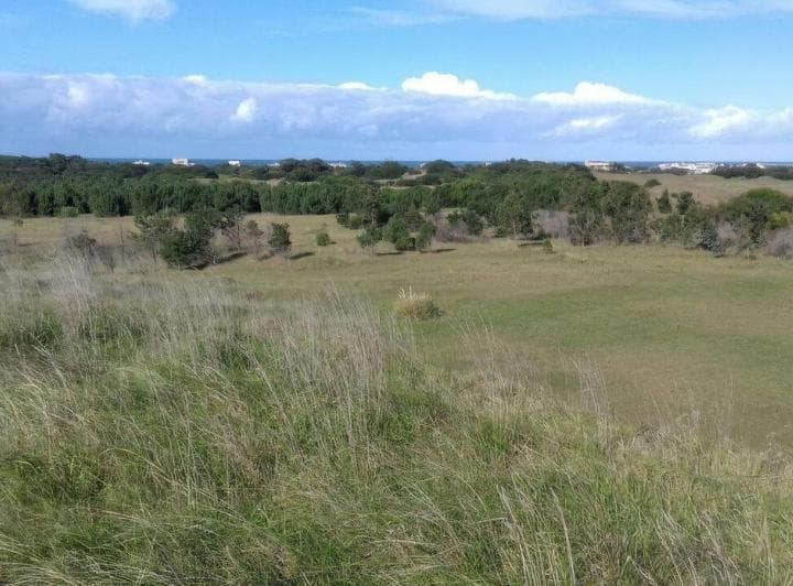 Terreno en Venta - m² - Necochea - 5