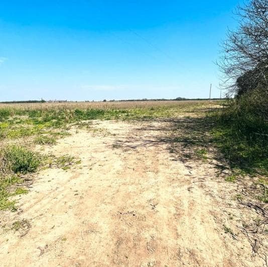 Campo Agricola en Venta - San Jeronimo Norte - 2