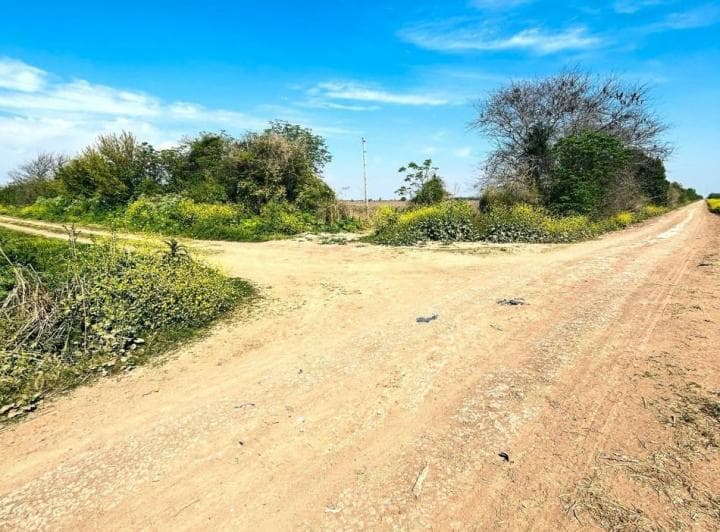 Campo Agricola en Venta - San Jeronimo Norte - 4