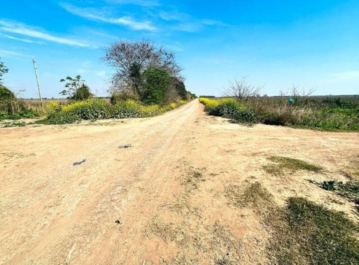 Campo Agricola en Venta - San Jeronimo Norte - 5