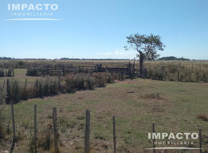 En Venta Campo Ganadero 455 Has en Magdalena, Buenos Aires - 4