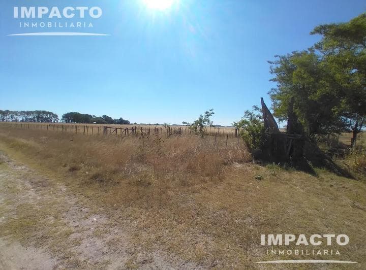 En Venta Campo Ganadero 455 Has en Magdalena, Buenos Aires - 3