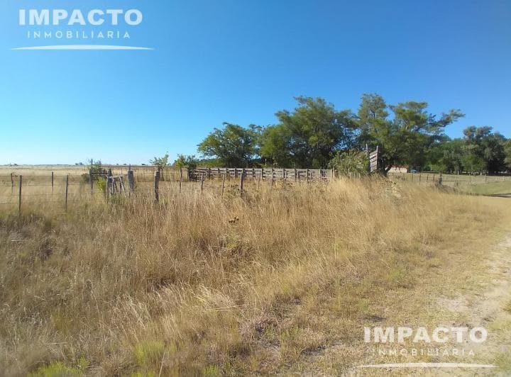 En Venta Campo Ganadero 455 Has en Magdalena, Buenos Aires - 2
