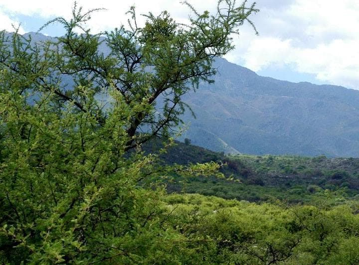 En Venta en Achiras Arriba Terreno de 6.800 m, San Javier Traslasierra! - 5