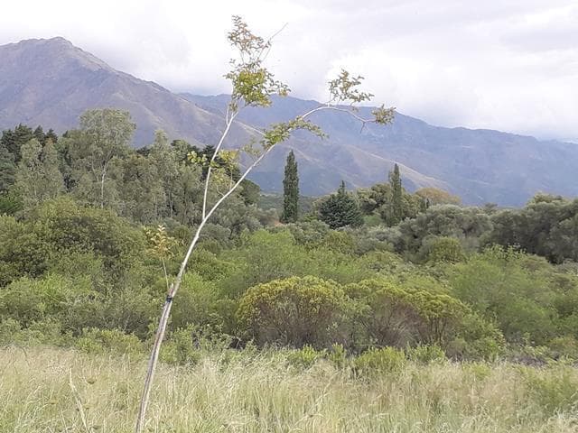 Venta de Terrenos en Rodeo de Piedra Traslasierra! - 4