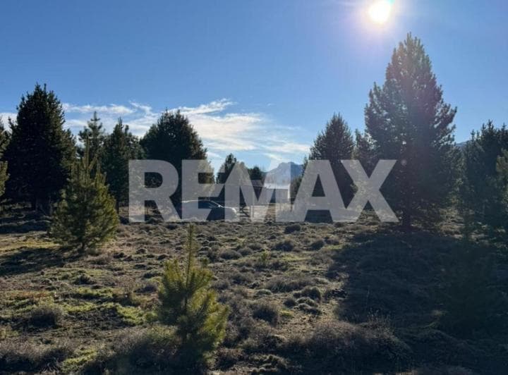 Lote Terreno Meliquina 1.000 m² - 5