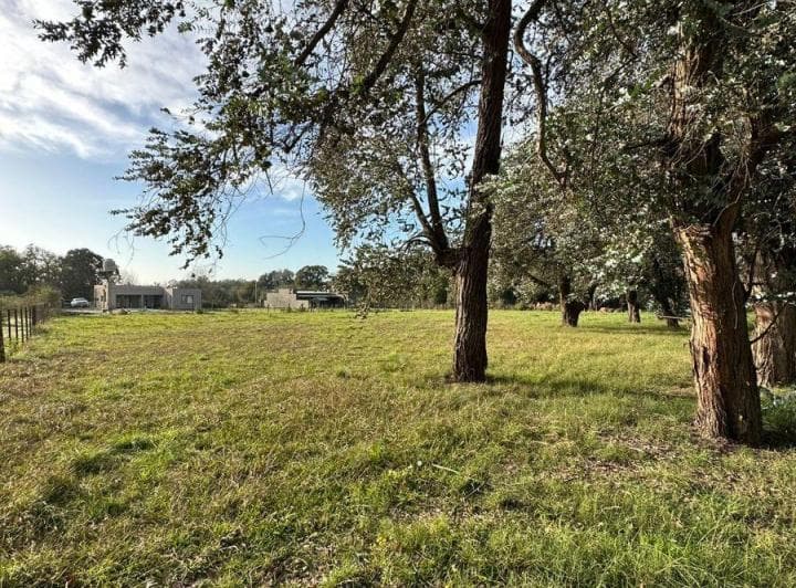 Nuevo - Terreno Venta - Imperdible - 5