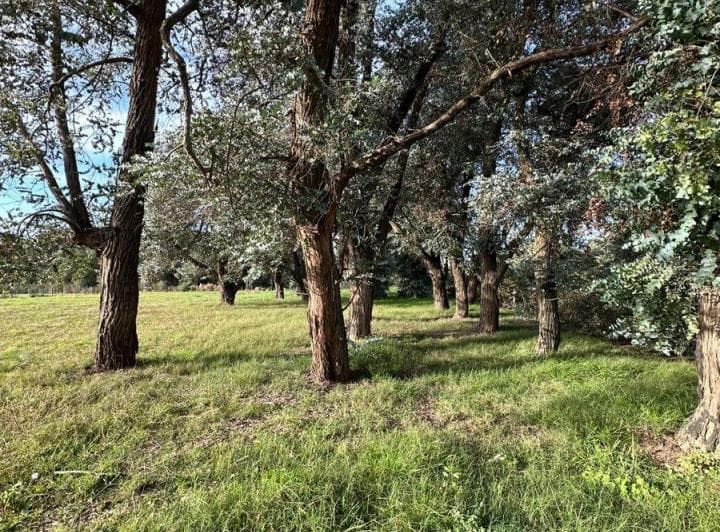 Nuevo - Terreno Venta - Imperdible - 4
