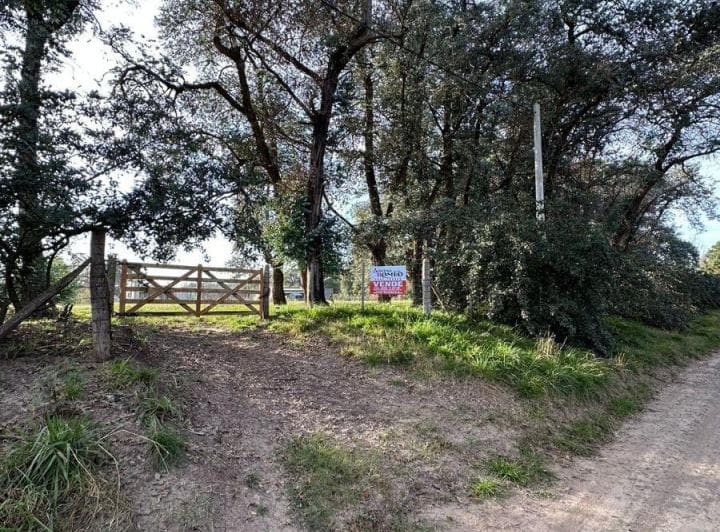 Nuevo - Terreno Venta - Imperdible - 2