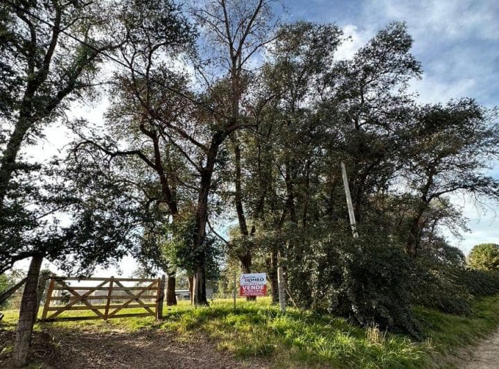 Nuevo - Terreno Venta - Imperdible - 3