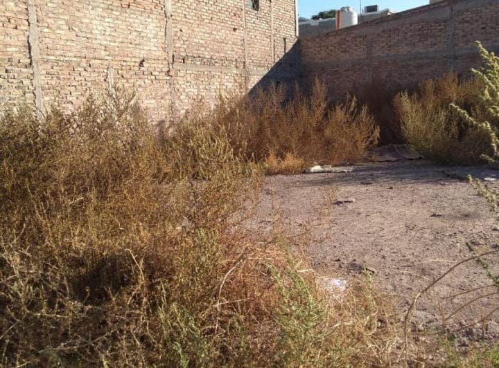 Lote en Venta en Las Heras Calle Democracia Norte. 202 m&sup2; - 3