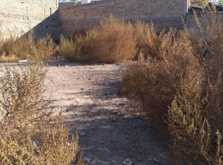Lote en Venta en Las Heras Calle Democracia Norte. 202 m&sup2; - 2