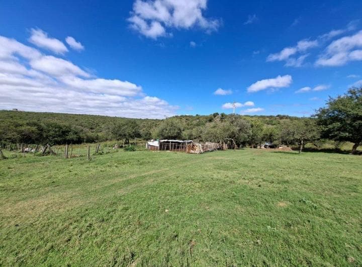 Venta Campo 78 Ha Villa del Dique - 5
